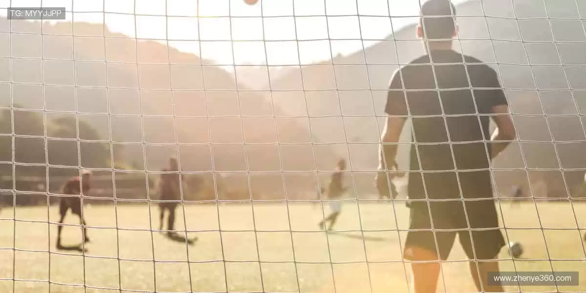 📰 体育新闻,权威速递!🏆 最新战报、深度解读,尽在掌握!